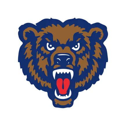 Danville CSD Читы