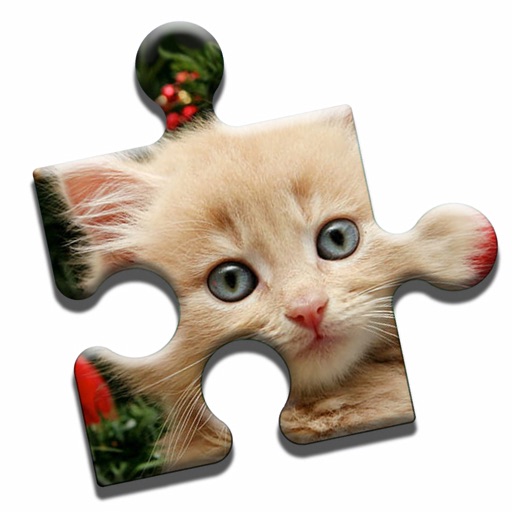 Lovely Kittens Puzzle icon