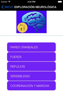 Game screenshot NeuroScores apk