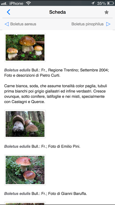 Funghi italianiのおすすめ画像4