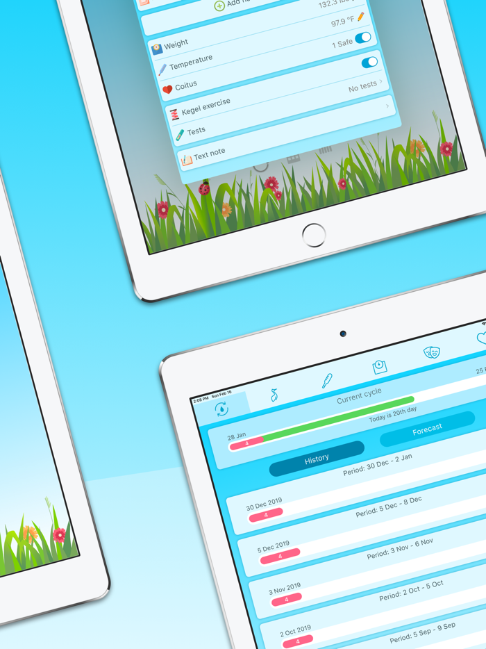 Ladybird - Period Tracker