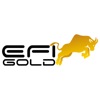 EFI Gold icon
