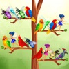 Birds Sort - Color Puzzle icon
