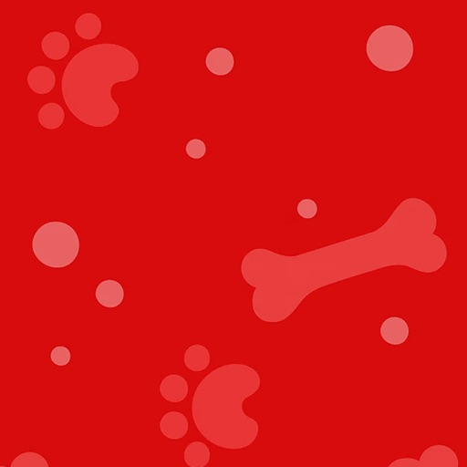 Stay & Play Pet Resort