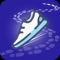 Icon Pedometer : Walking Tracker