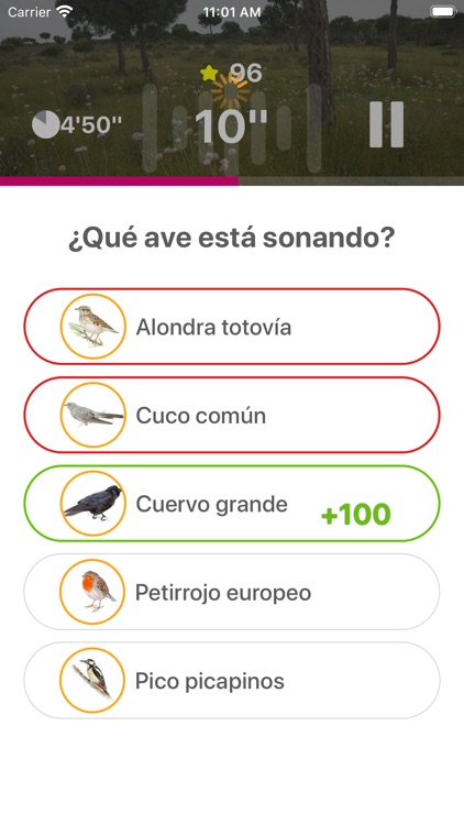 Avefy - SEOBirdlife screenshot-4