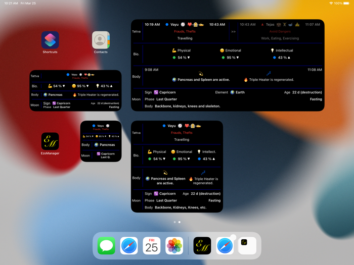 EzoManager – esoteric planner