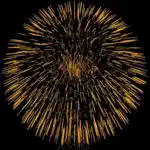 Fireworks to go App Negative Reviews