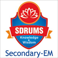 SDRUMS Secondary EM School