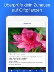 baby sicherheit checklisten ipad bildschirmfoto 4