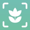 Plant ID Match: Identification icon