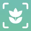 Plant ID Match: Identification App Feedback