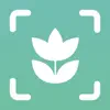 Plant ID Match: Identification negative reviews, comments