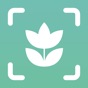 Plant ID Match: Identification app download