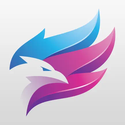 Phoenix Air Fly DJI Drones PRO Читы