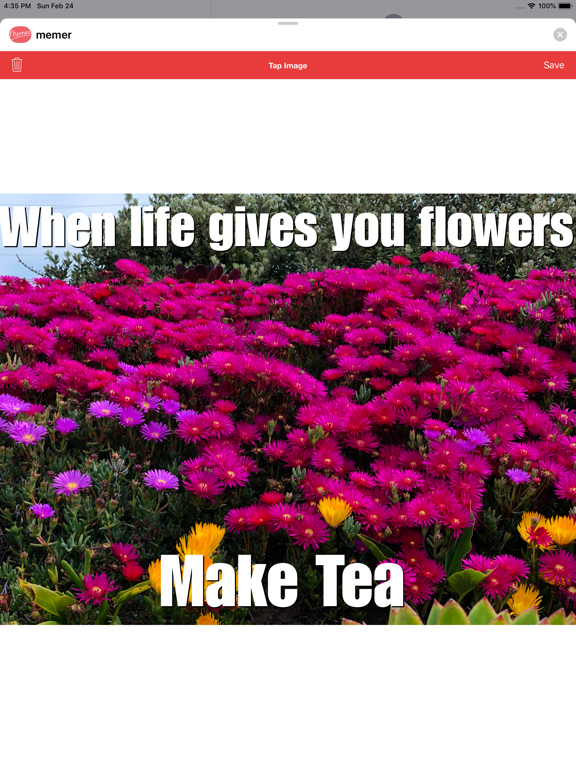 Screenshot #4 for Memer Maker