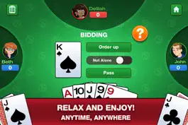 Game screenshot Simple Euchre mod apk