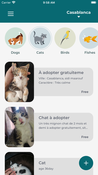 Screenshot #2 pour Happy Pet: Adoption Coupling