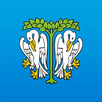 Audioprzewodnik po Łowiczu Читы