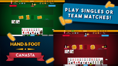 Canasta Hand And Foot Screenshot