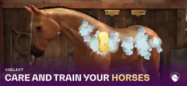 Game screenshot FEI Equestriad World Tour hack