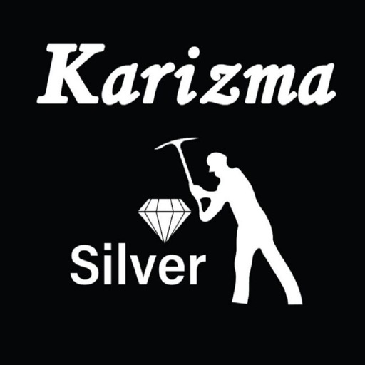 Karizma Silver icon