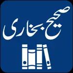Sahih Bukhari | English | Urdu App Alternatives