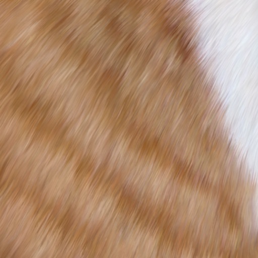 Cat Fur iOS App