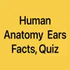 Human Anatomy Ears Facts, Quiz