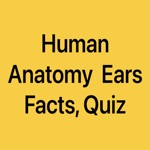 Download Human Anatomy Ears Facts, Quiz app