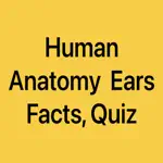 Human Anatomy Ears Facts, Quiz App Positive Reviews