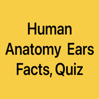 Human Anatomy Ears Facts Quiz
