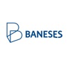 Baneses icon