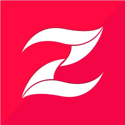 ZURY FIT BODY SCALE Читы