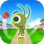 Doodle Cricket - Cricket Game App Support