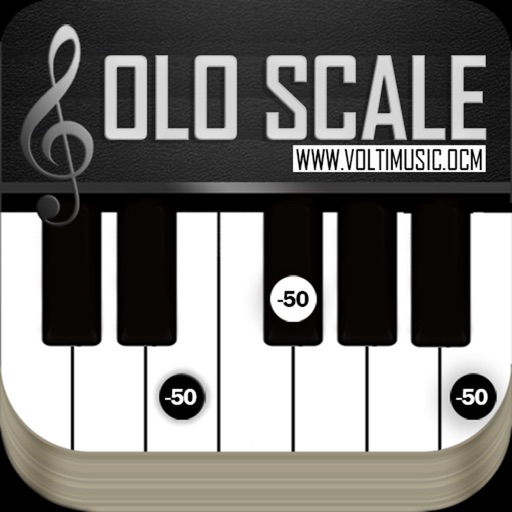 Solo Scale Controller