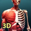 人体解剖学 3D icon