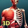 人体解剖学 3D - Ali Jafarimoghaddam