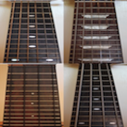 Super Guitar Fretboard Lite iOS App