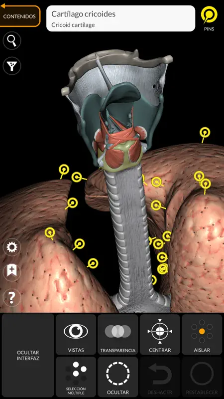 Anatomía - Atlas 3D screenshot 9 of 10