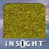 iNSIGHT Stereograms problems & troubleshooting and solutions