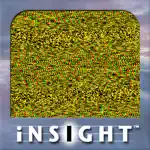 INSIGHT Stereograms App Positive Reviews