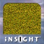 INSIGHT Stereograms app download