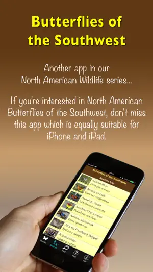 Butterflies of the Southwest screenshot 1