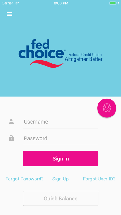 FedChoice Federal Credit Union Screenshot