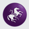BEVA Equine Techniques - Veterinary Advances Ltd
