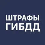 Проверка штрафов ГИБДД, оплата App Contact