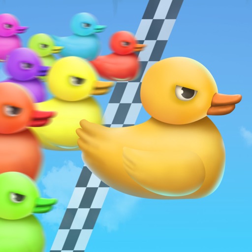 Duck race name picker by tien nguyen