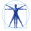 Nursing Anatomy Trivia - Nurten PIRLI