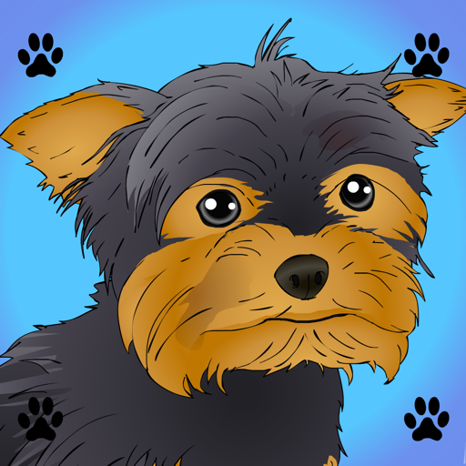 Poor Little Dog: Yorkie